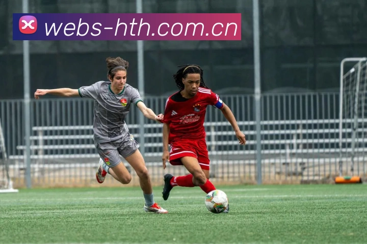 华体会中国官网APP 封面图